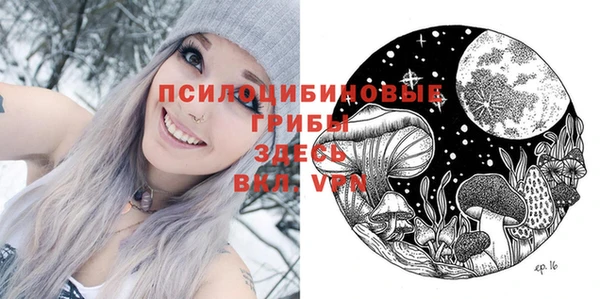 МДПВ Абдулино