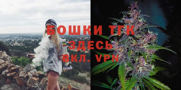 соль ск Абаза